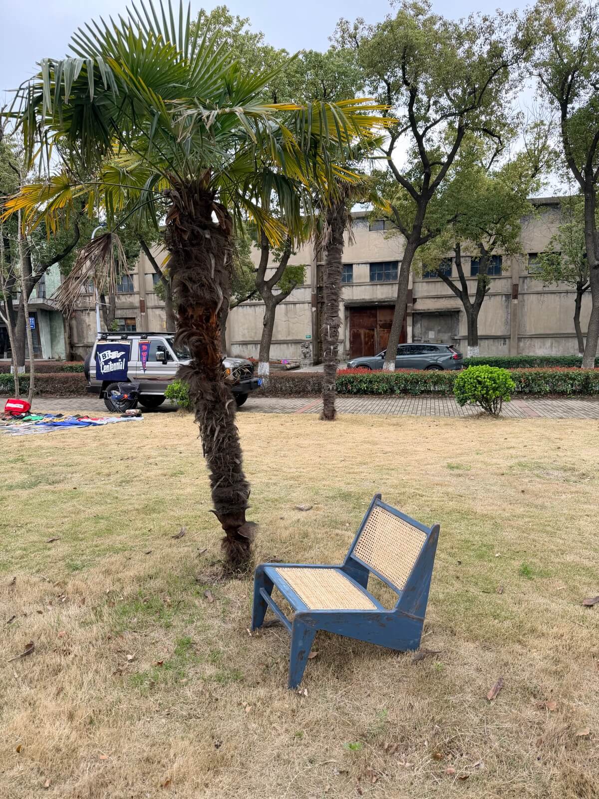 Low Caned Armless Easy Chair 侧面