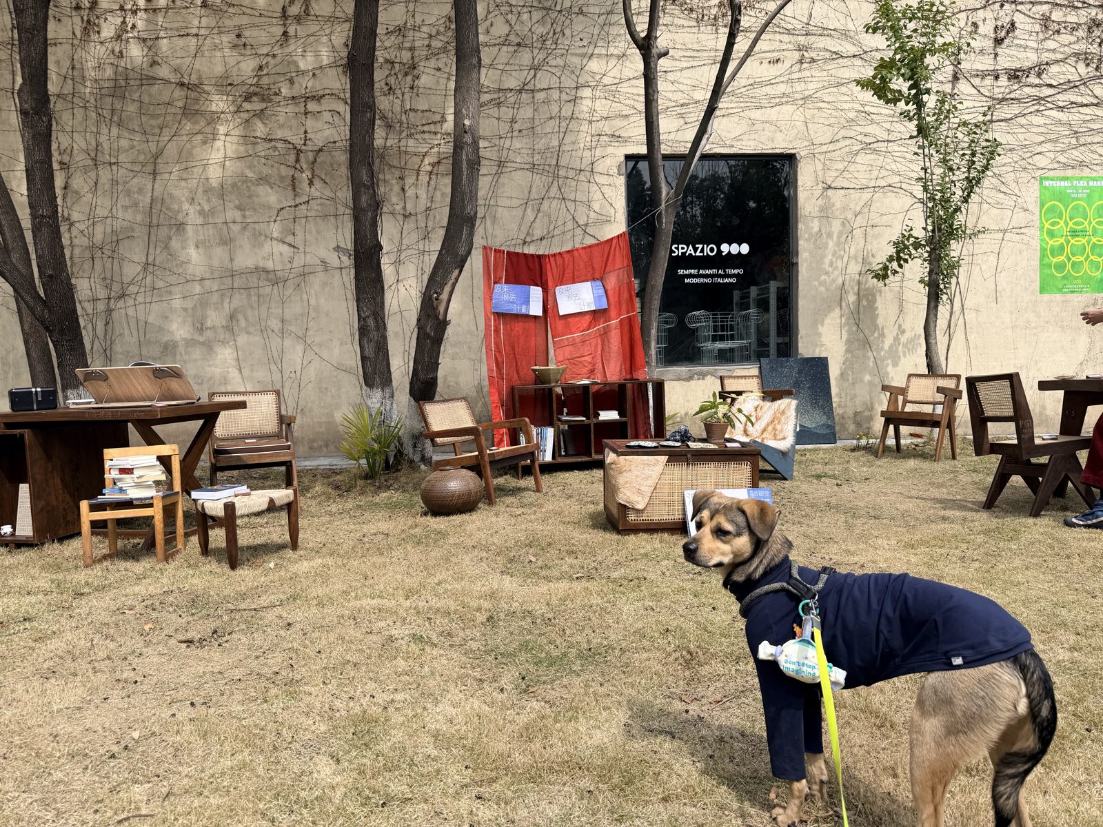 展览现场全貌，九笛看门犬在前景